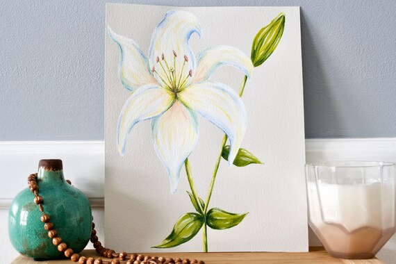 St shop joseph lily