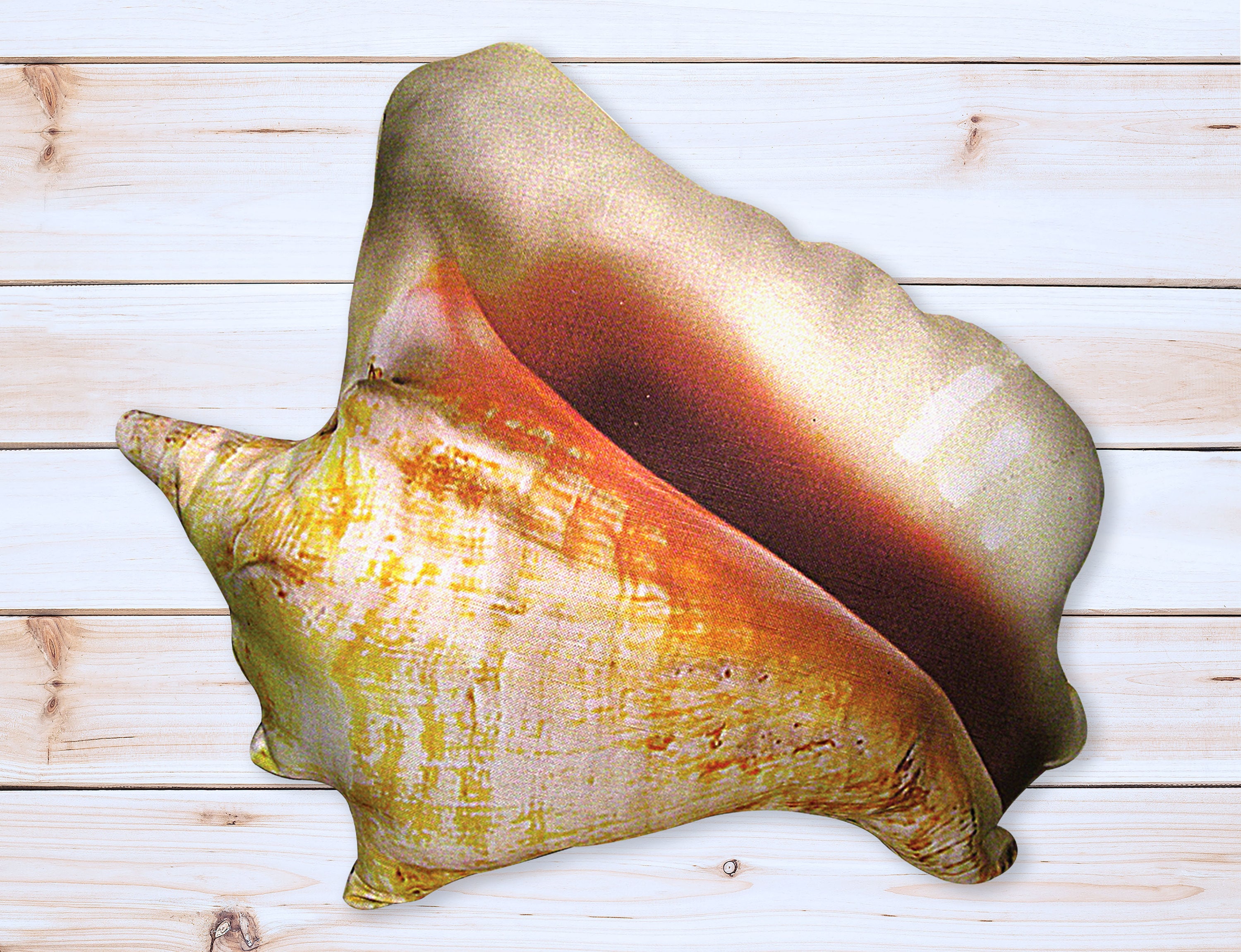 Shell Pillow Nautical Pillow Sea Shell Beach Pillow Etsy