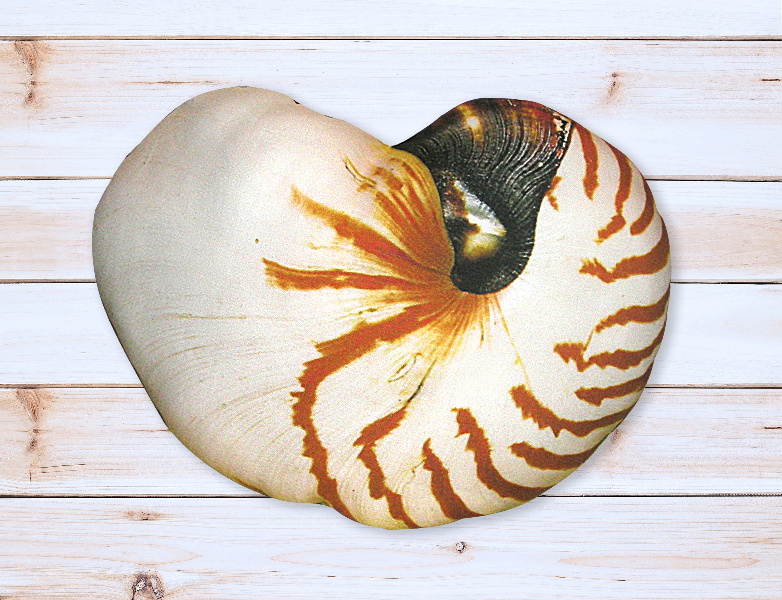 Shell Pillow Nautical Pillow Sea Shell Beach Pillow Etsy