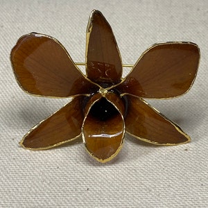 Vintage Real Orchid Gold Plated Lacquered Large Brown Royal Orchid Pendant Brooch