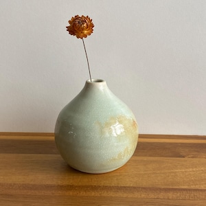 May include: A light green ceramic vase with a round body and a narrow neck. A single dried flower with brown petals is in the vase.
