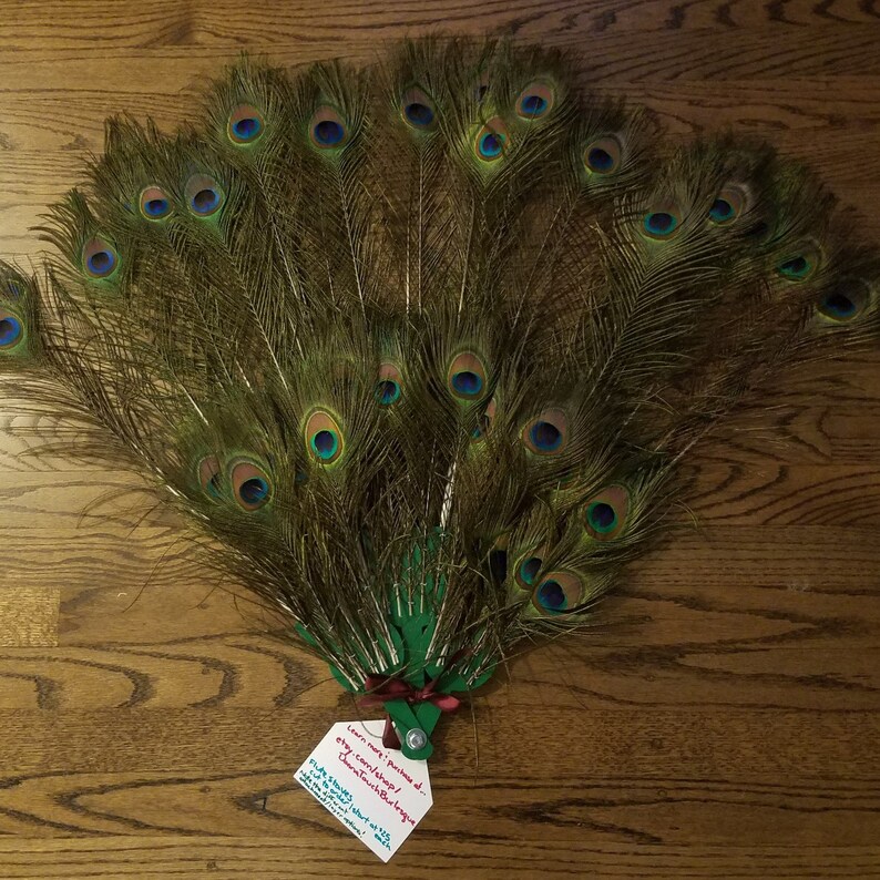 peacock and more! for pheasant Flute staves fan kit