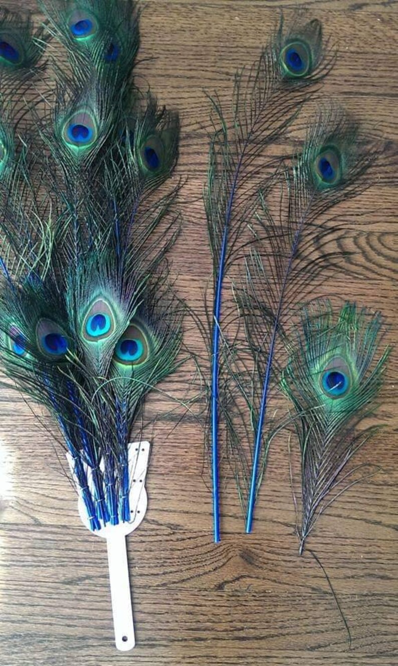 peacock and more! for pheasant Flute staves fan kit