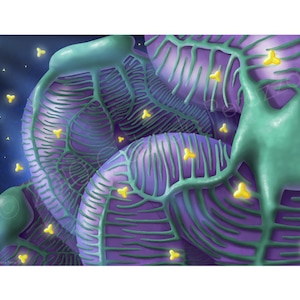 May include: A microscopic illustration of a cell's endoplasmic reticulum, a network of membranes that helps produce and transport proteins. The illustration shows the ER as a series of interconnected sacs and tubes, with small yellow dots representing ribosomes.