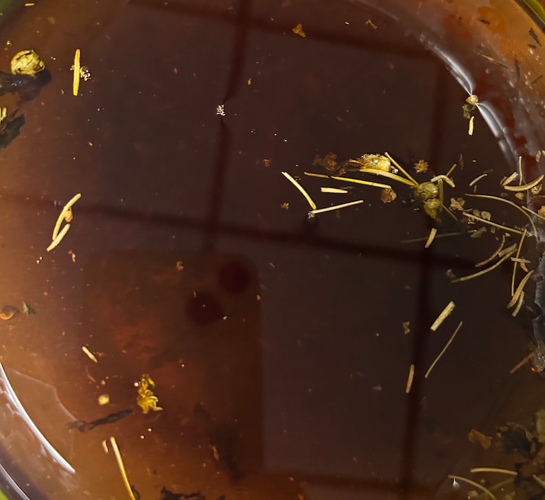 Peut inclure: Gros plan sur un liquide brun fonc&eacute; avec de petits morceaux d'herbes et d'&eacute;pices flottant &agrave; l'int&eacute;rieur.