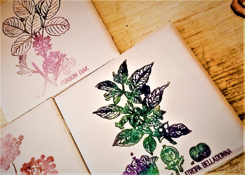 Poisonous Plants Decorative Tile Collection Laser Engraved , Set of 3 ...
