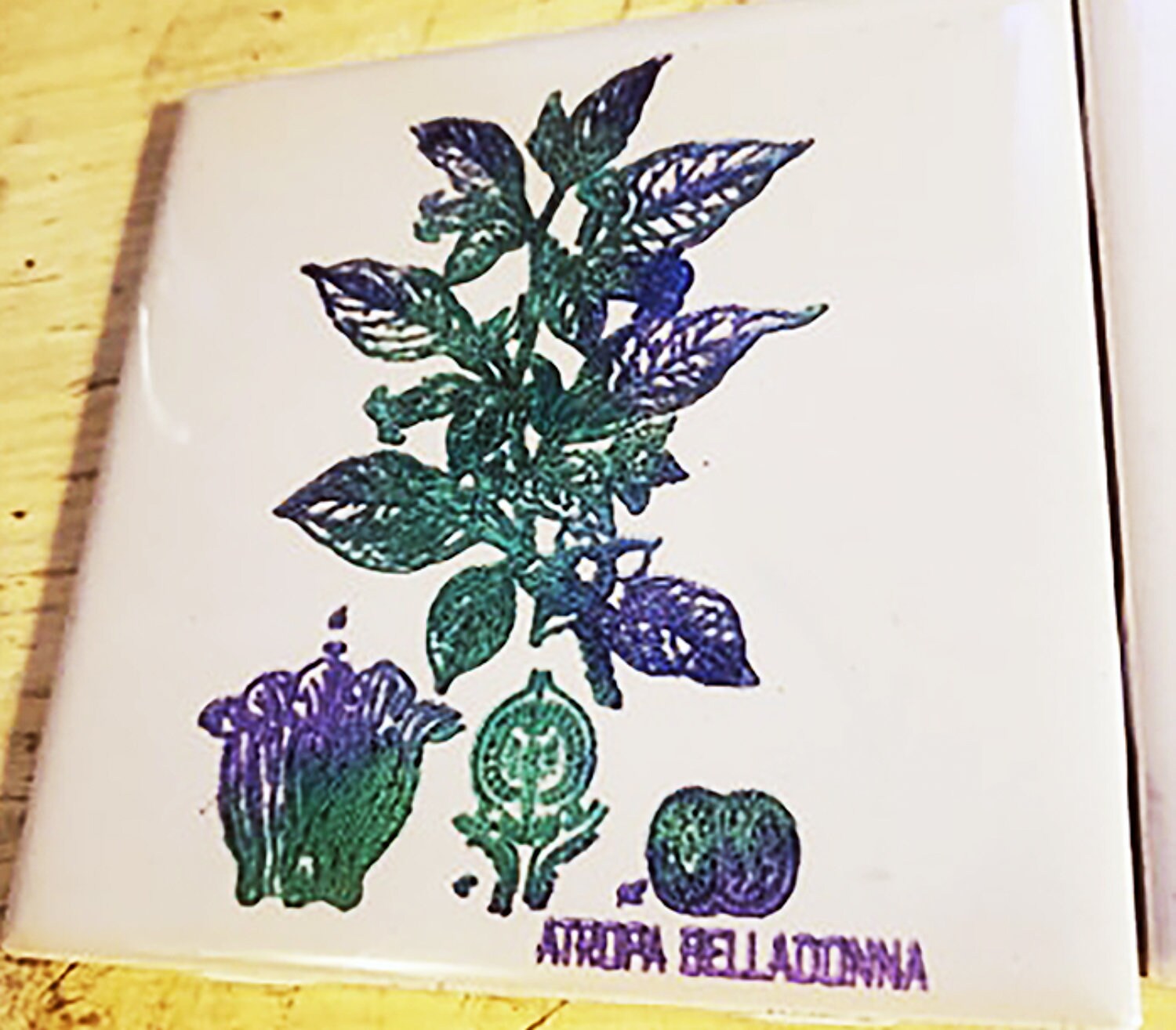 Poisonous Plants Decorative Tile Collection Laser Engraved , Set of 3 ...