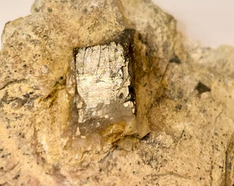 Pyrite Cubes in Matrix