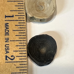 Puede incluir: Se muestran dos secciones transversales de madera, una de color beige claro y otra negra. La pieza beige claro tiene un diámetro de aproximadamente 2,5 cm. La pieza negra es ligeramente más pequeña. Ambas piezas muestran anillos de crecimiento concéntricos.