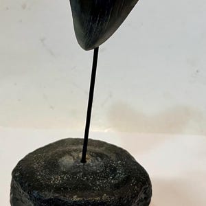 Pu&ograve; includere: Un dente di squalo fossilizzato scuro montato su una sottile asta di metallo nero, fissata a una base cilindrica nera. Un righello di legno posizionato sul fondo mostra che l'altezza totale dell'oggetto &egrave; di circa 15 cm.
