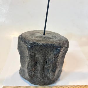 Pu&ograve; includere: Un segmento di osso fossilizzato cilindrico grigio scuro con una consistenza ruvida e porosa. Un sottile filo metallico nero si estende verticalmente dal centro della superficie superiore. Un righello di legno mostra una larghezza di 9 cm.