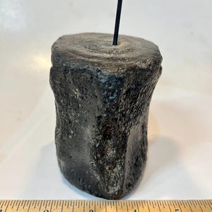 Pu&ograve; includere: Un segmento di osso fossilizzato cilindrico, scuro e poroso, con una superficie ruvida e strutturata. Un'asta metallica nera sottile &egrave; inserita verticalmente al centro della parte superiore. Un righello di legno alla base mostra 7,6 cm di larghezza.