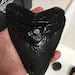 Megalodon Hunter