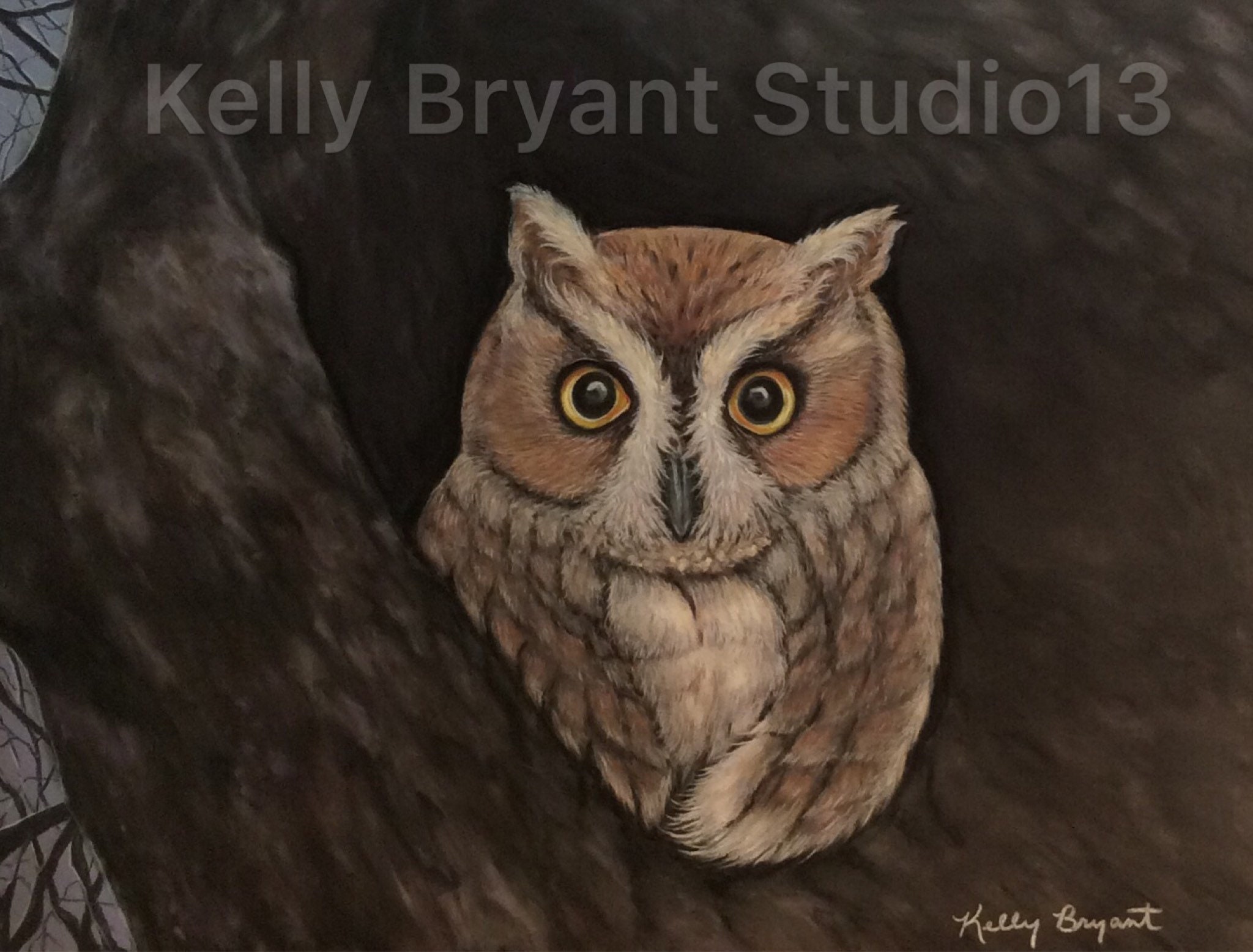 Owl Painting, Giclee print of original pastel painting