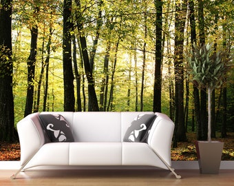 Play of lights wall mural, reposition able and removable wall paper, wall covering