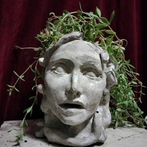May include: A gray concrete planter shaped like a human face with a plant growing out of the top. The plant has green leaves and is growing out of the top of the head.