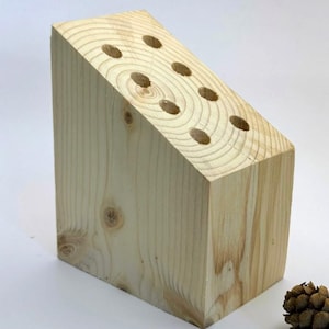 Natural Wood Pencil Holder - Designer and Eco-Friendly Desk Organizer