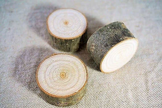 3 Magnets en Rondelles de Bois