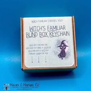 Witch's Familiar Keychain Blind Box: Which Familiar Chooses You? | Blind Box Keychain | Witch Keyring | Witchcraft | Witch Gifts | Goth Gift