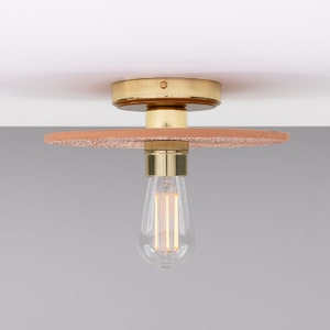 Bog Oak Organic Ceramic Disc Ceiling Light, Red Iron