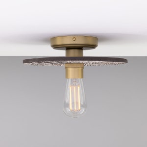 Bog Oak Organic Ceramic Disc Ceiling Light, Black Clay