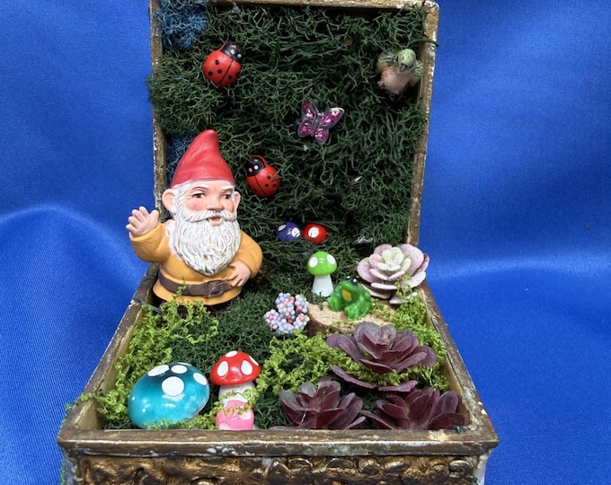 Tiny gnome in a box