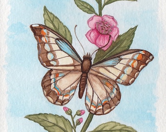 Vintage Butterfly