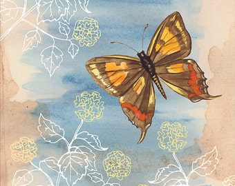 A5 Art Print, Butterfly Print, Silky Hairstreak Butterfly Print by Jennifer Magno