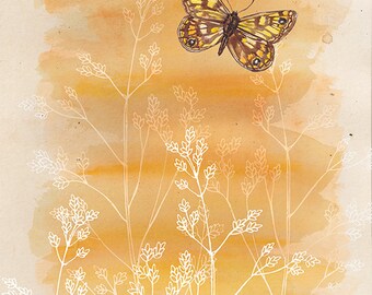 Butterfly A5 Art Print, Watercolour Art, Ptunarra Brown Butterfly