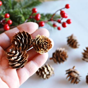Mini Pinecones Natural Decor Holiday Christmas Tablescape Home Decor Gifts