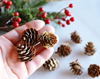 Mini Tannenzapfen Naturdekor Urlaub Weihnachten Tablescape Home Decor Geschenke