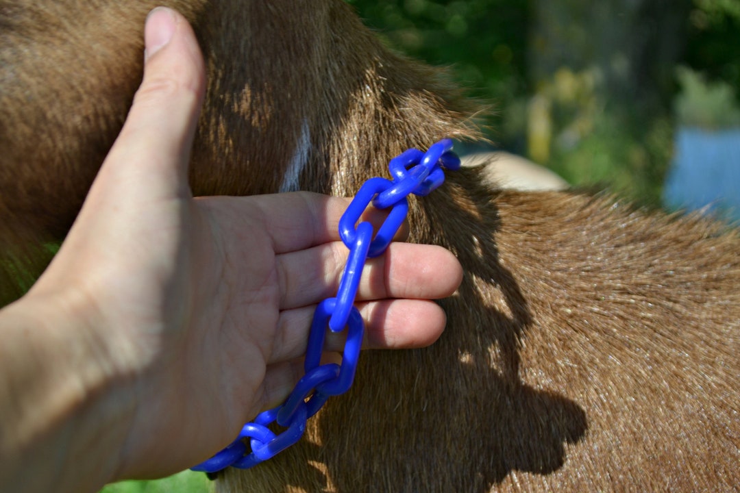 Red Plastic Chain Goat Collars Nigerian Dwarf Pygmy Minis Breakaway Safety Feature Durable Easy