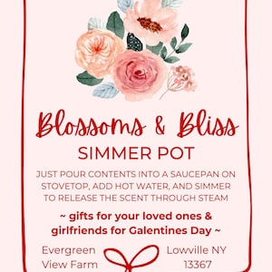Puede incluir: Un letrero rosa y rojo con el texto "Blossoms & Bliss SIMMER POT". El letrero presenta un arreglo floral en acuarela e instrucciones de uso. El texto también menciona regalos para seres queridos y el Día de San Valentín.