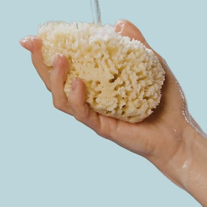 Pine Wood Sea Sponge Caddy: Handmade Soap Tray with Hanging Rope