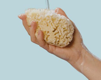 Pine Wood Sea Sponge Caddy: Handmade Soap Tray with Hanging Rope