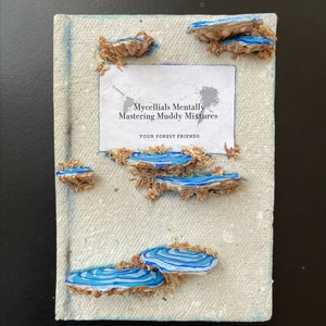 Faux Book PopOut Wall Hang, Blue Shelf Mushrooms on Art Panel, Novel Mushrooms Home Decor, Fungus Art Piece, Fake Book, Soft Blue Mushroom