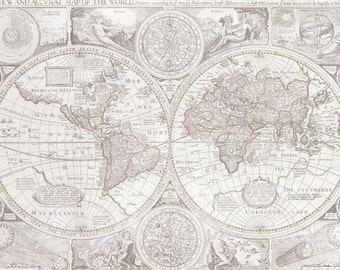 World Map Pillow Case: Soft Gray Travel Decor