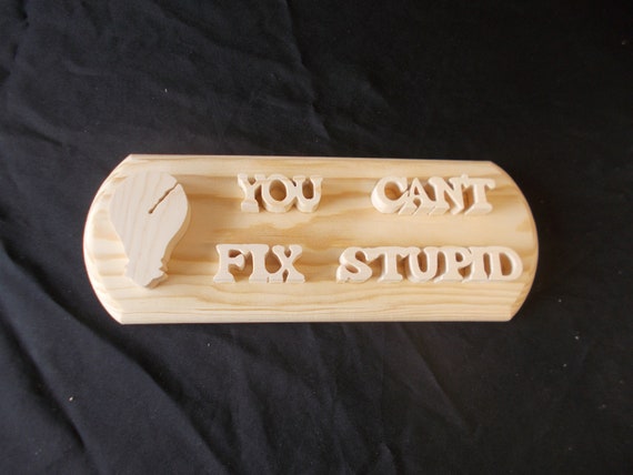You Can't Fix Stupid Handcrafted Wooden Plaque