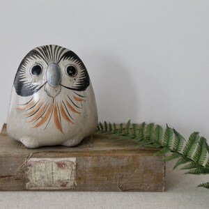 May include: A ceramic owl figurine with black and white markings and orange accents. The owl is sitting on a wooden surface with a green fern plant in the background.