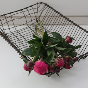 May include: A rustic, rectangular wire basket filled with a bouquet of pink peonies and green leaves. The basket is made of dark brown metal and is set against a white background. The flowers are in various stages of bloom.