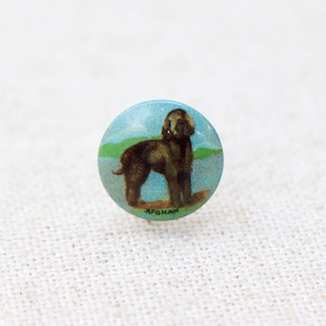 May include: A blue and green button with a brown Afghan Hound dog illustration. The button has the word "Afghan" printed on it.