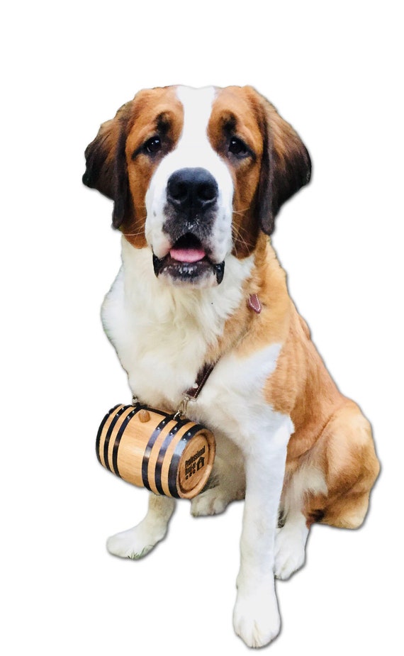 St bernard keg clearance collar
