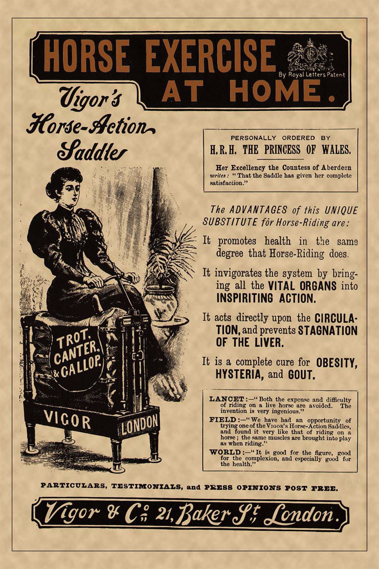 C1900s Horse Exercise at Home Poster Art Printed on 1/2 Inch Etsy