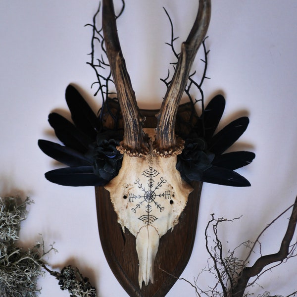 Deer skull "Faerie Forest" ( Ethically sourced ) Wall decor