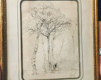 Tree Study Sketch Painting · 19th c Framed Art Ink Drawing SIGNED Unknown · Antique Wall Art Home Decor · Study Office Room Decoration Gift