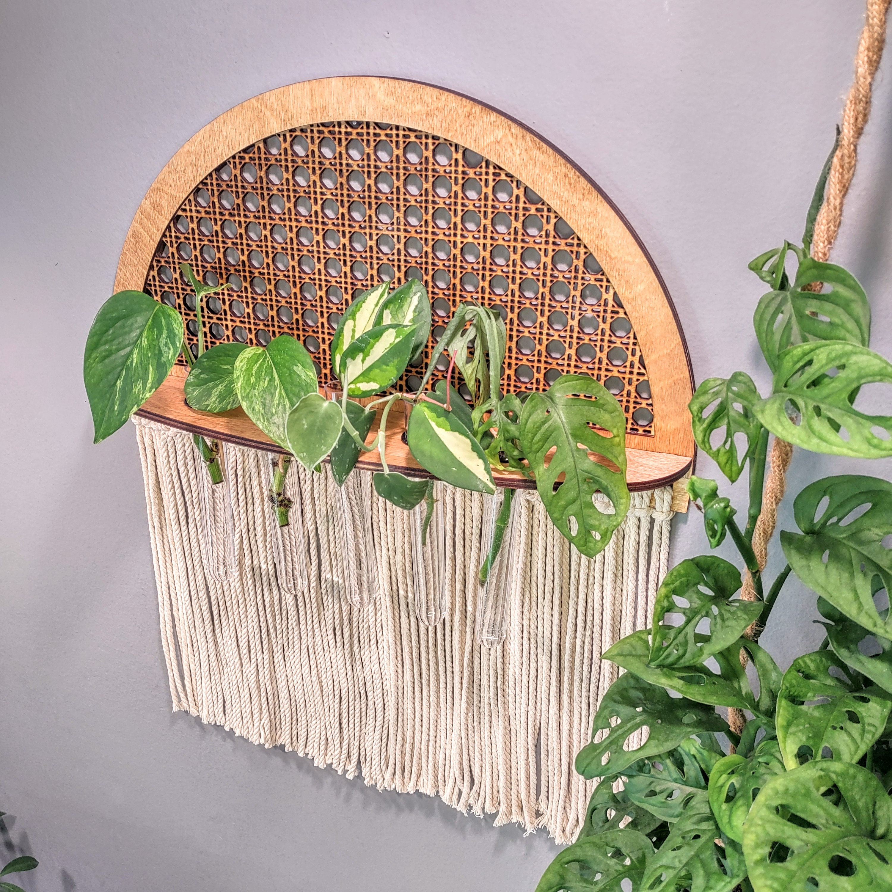 Propagation Station Wall Hanging Rattan Cane Vintage Etsy