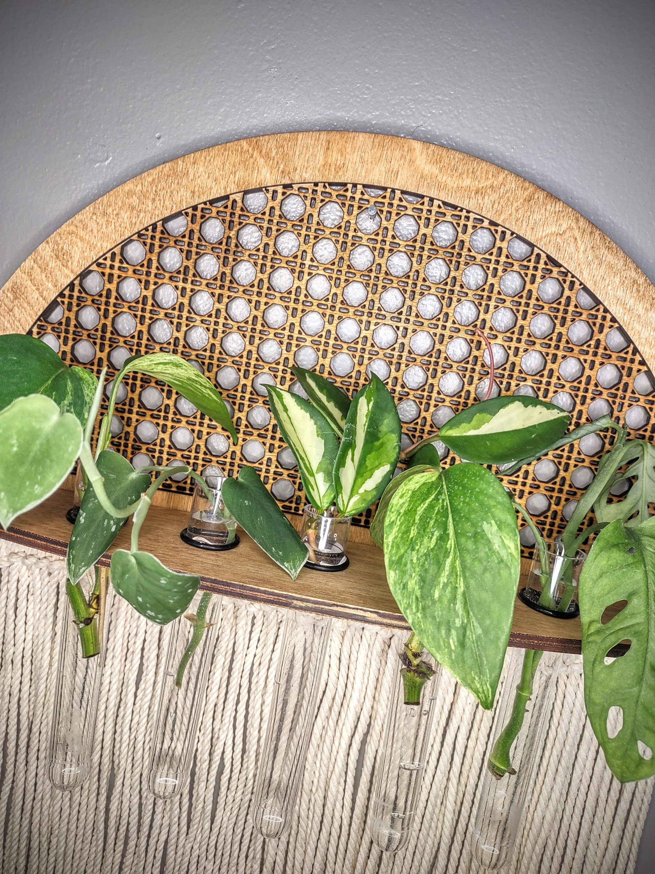 Propagation Station Wall Hanging Rattan Cane Vintage Etsy