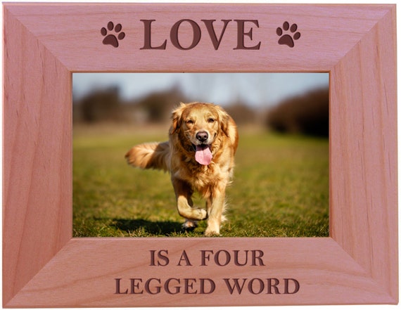 Love is a Four Legged Word 4x6 Inch Wood Picture Frame Picture