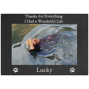 May include: Black and white photo of a brown dog swimming in a lake. The photo is in a black frame with the text "Thanks for Everything I Had a Wonderful Life" at the top and "Lucky" at the bottom.