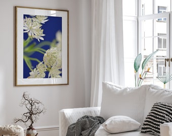 Flower Photography Print, Blue, White, Queen Anne's Lace, Wall Art Print, Flower Art, Fine Art